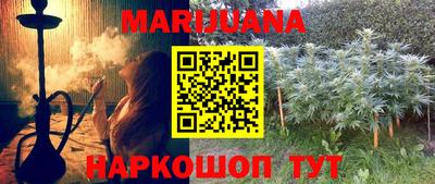 крисы Анапа