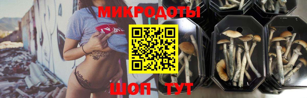 Вятские Поляны  Псилоцибиновые грибы прущие грибы  Псилоцибиновые грибы прущие грибы  Вход с VPN 